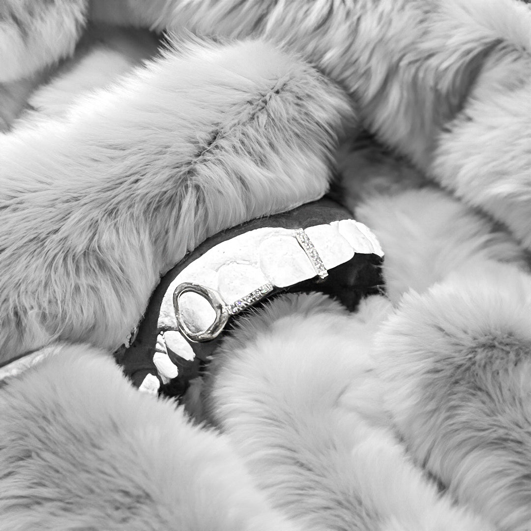 ÓRBITA (PARRILLA PLATA)