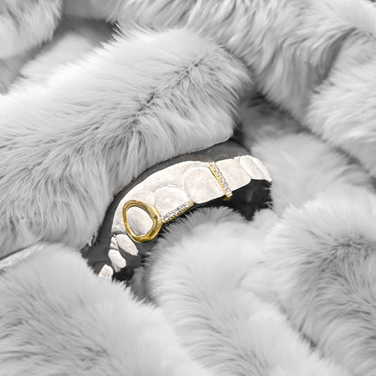 ORBIT (PARRILLA CHAPADA EN ORO)