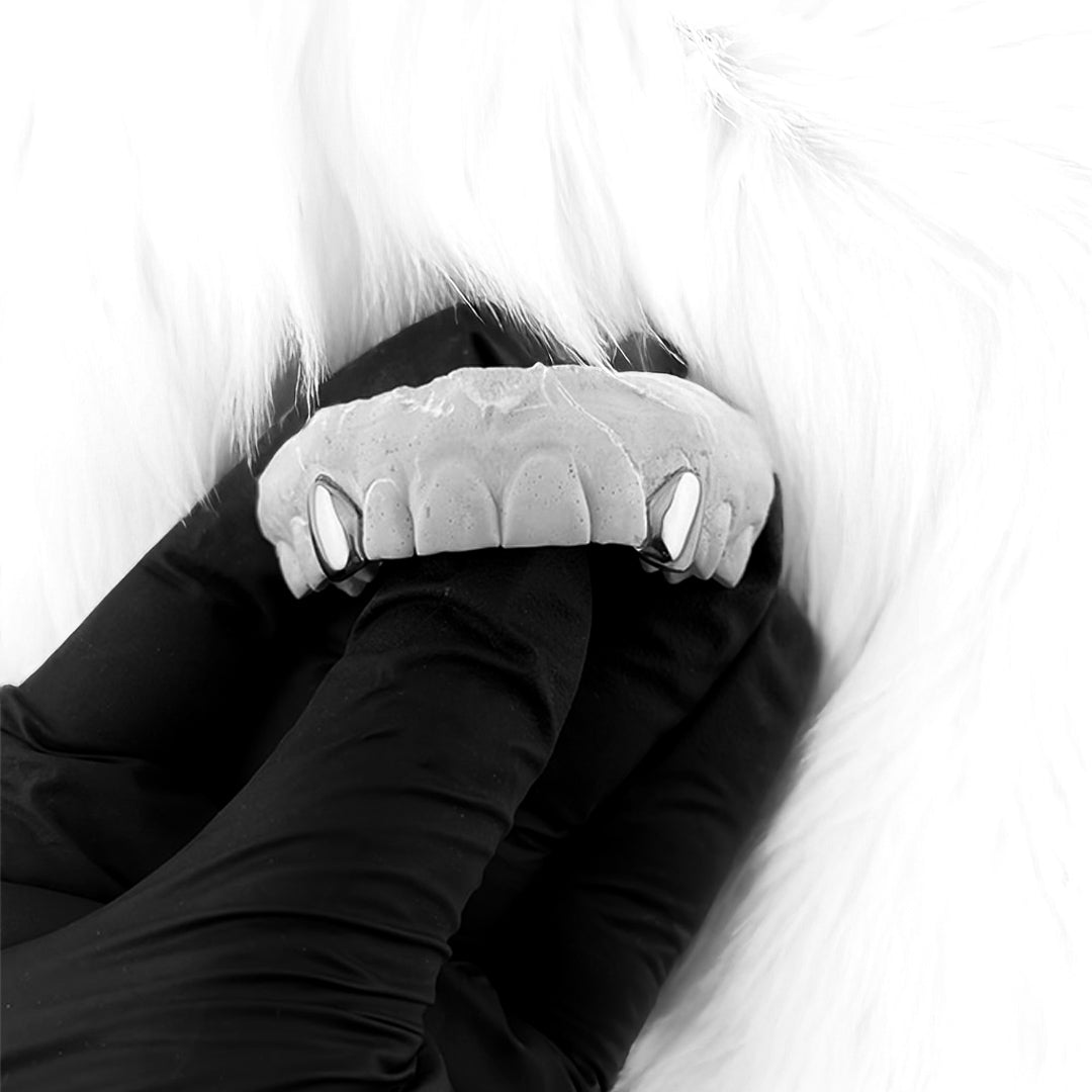 ZOLARA (SILVER GRILLZ)