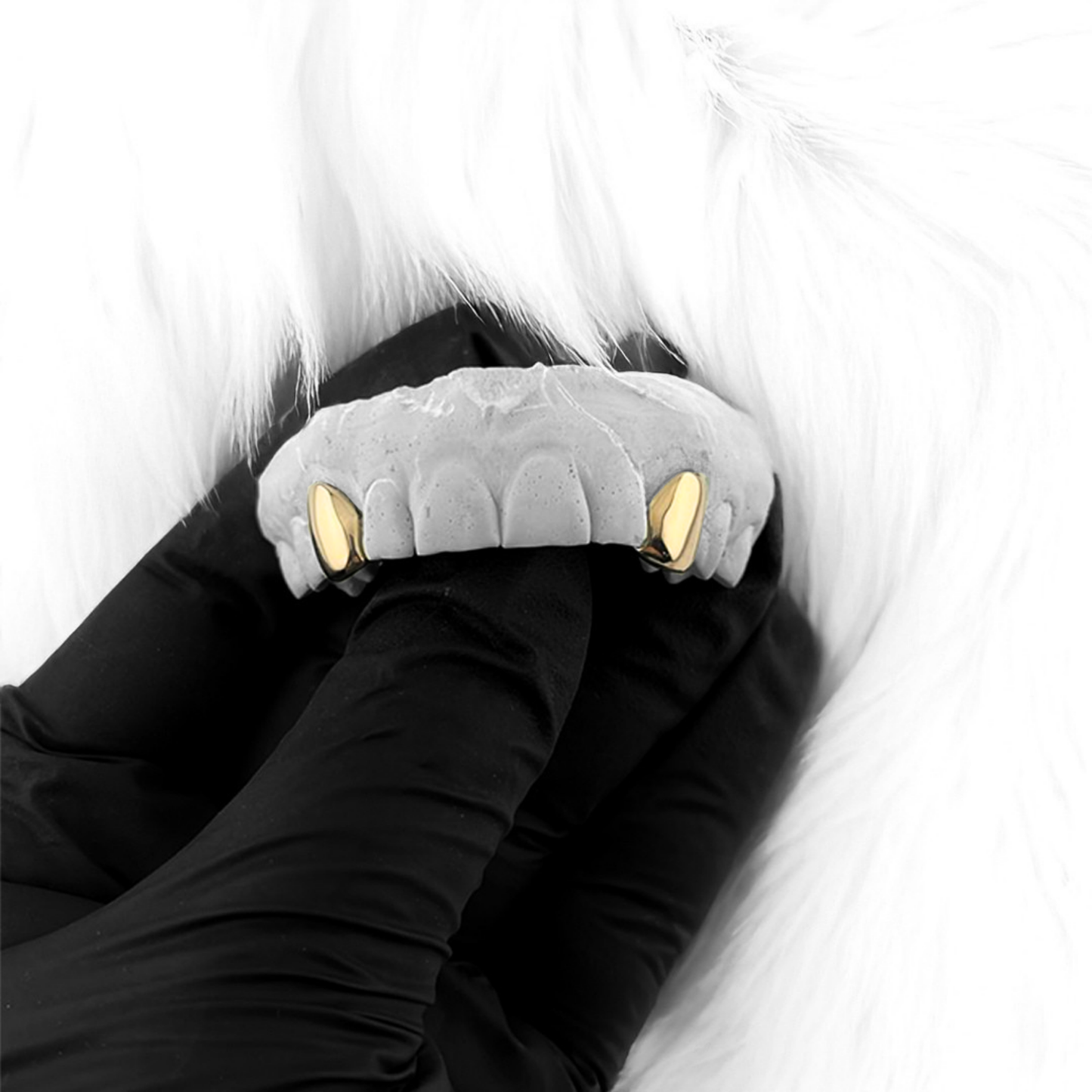 ZOLARA (GOLD GRILLZ)