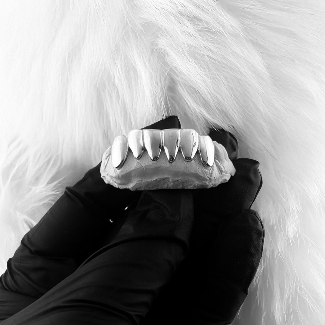 NEXON (6 PC SILVER GRILLZ)