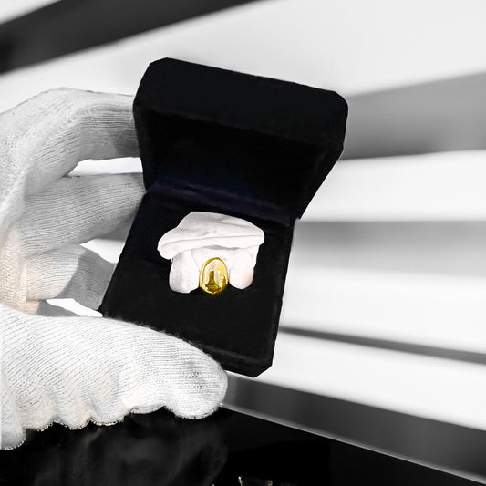 ION (PARRILLA CHAPADA EN ORO)