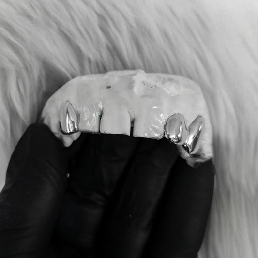 AERION (PARRILLA PLATA)