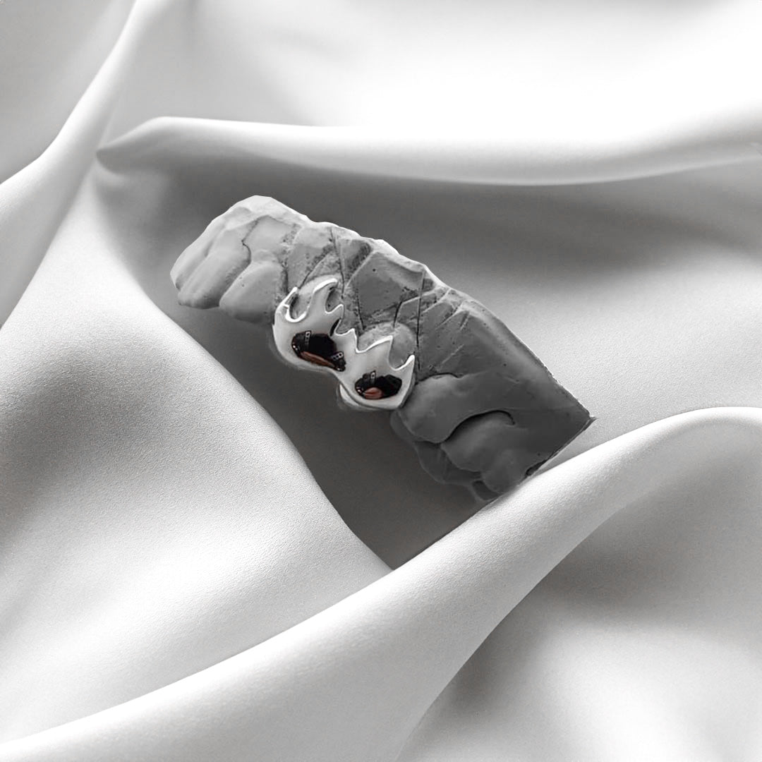 ARCYN (PARRILLAS DE PLATA)