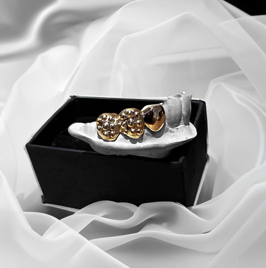 A$AP (PARRILLA CHAPADA EN ORO)