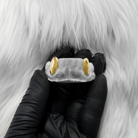 SPECTRA (GOLD PLATED GRILLZ)