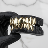 TEMPO (16 PC GOLD PLATED GRILLZ)