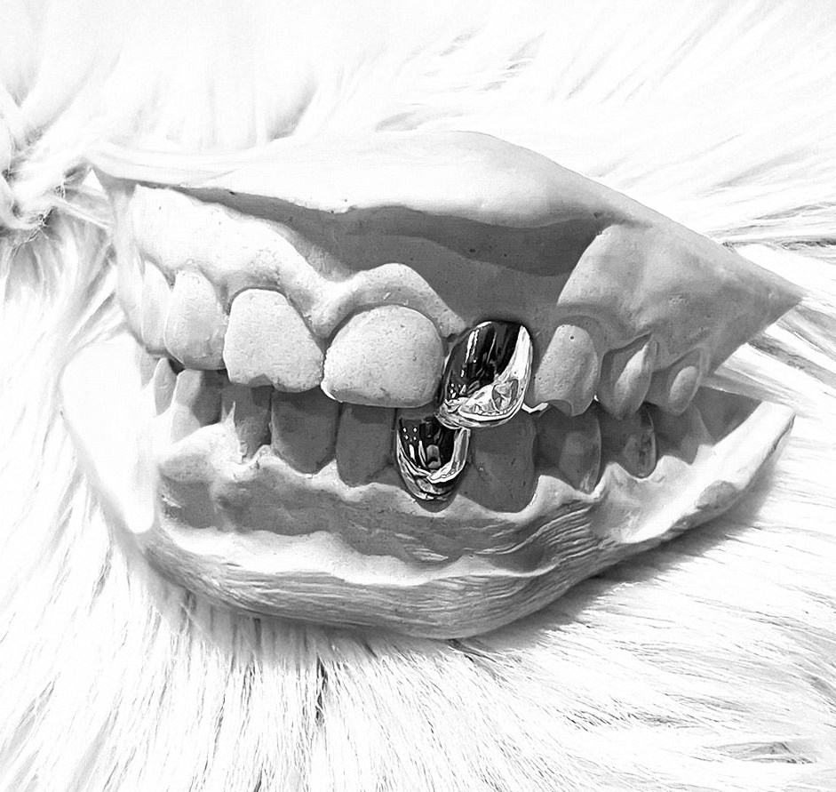 ECHO (SILVER GRILLZ)