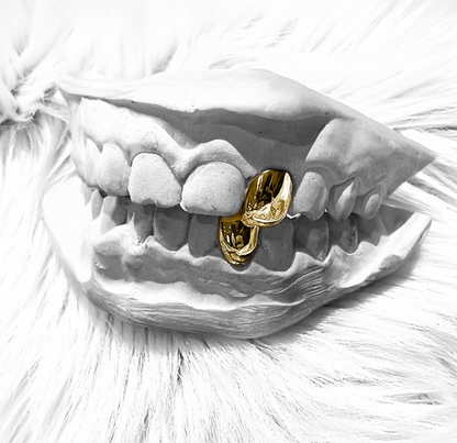 ECHO (GOLD PLATED GRILLZ)