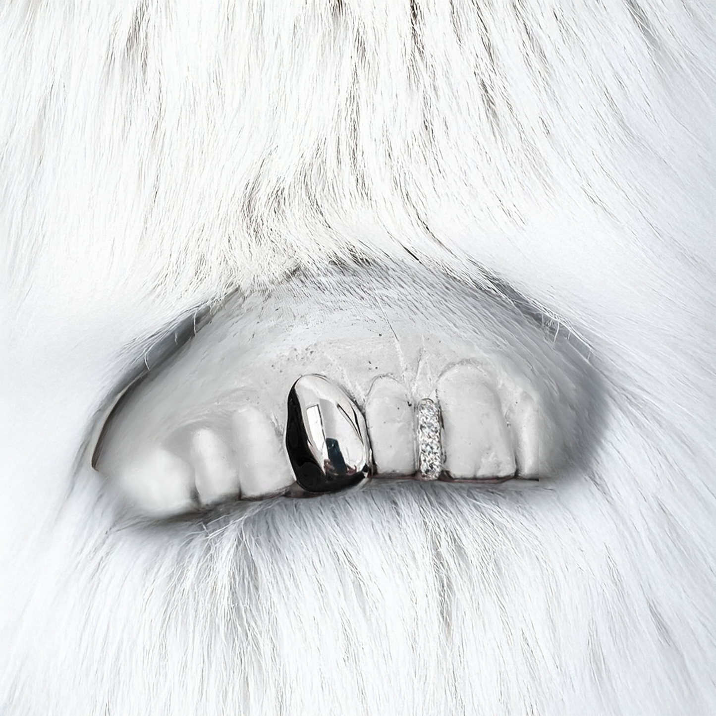 ZENITH (PARRILLAS PLATA) 