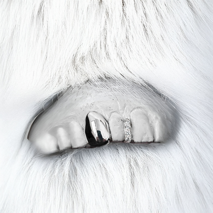 ZENITH (PARRILLAS PLATA) 