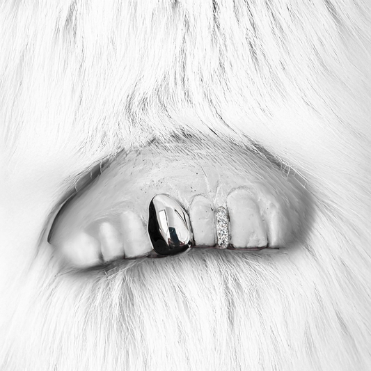 ZENITH (SILVER GRILLZ)