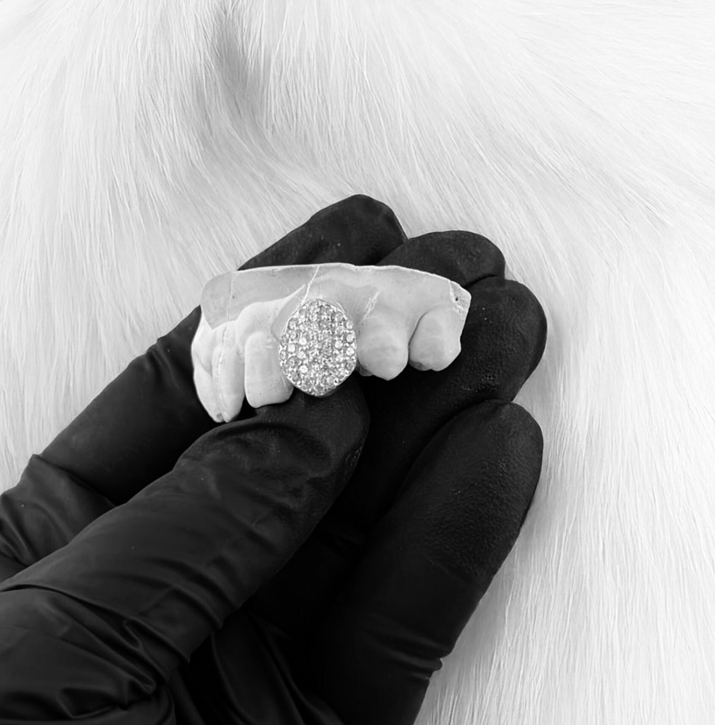 FROST (SILVER GRILLZ)