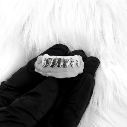 NEXON (6 PC SILVER GRILLZ)