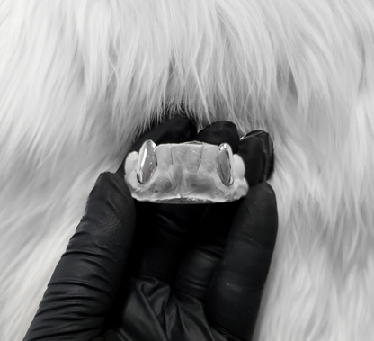 SPECTRA (SILVER GRILLZ)